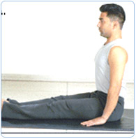 Pilates Certification Pilates Certification