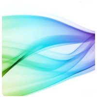 ExpertRating  Introduction to Illustrator CS3 Certification