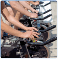 Health Club Management Certification Health Club Management Certification