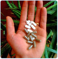 Herbs and Supplements Certification Herbs and Supplements Certification