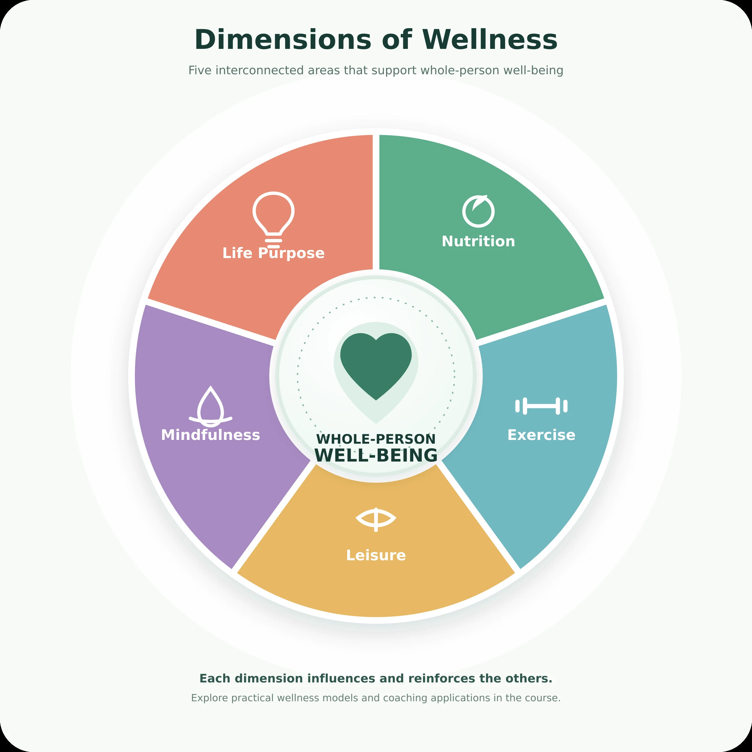 Wellness dimensions wheel showing nutrition, exercise, leisure, mindfulness, and life purpose surrounding whole-person well-being.