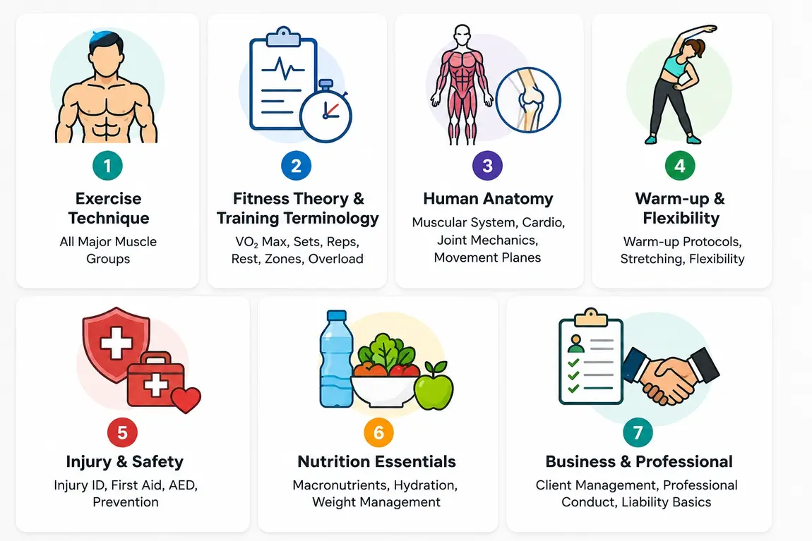 personal trainer certification curriculum overview